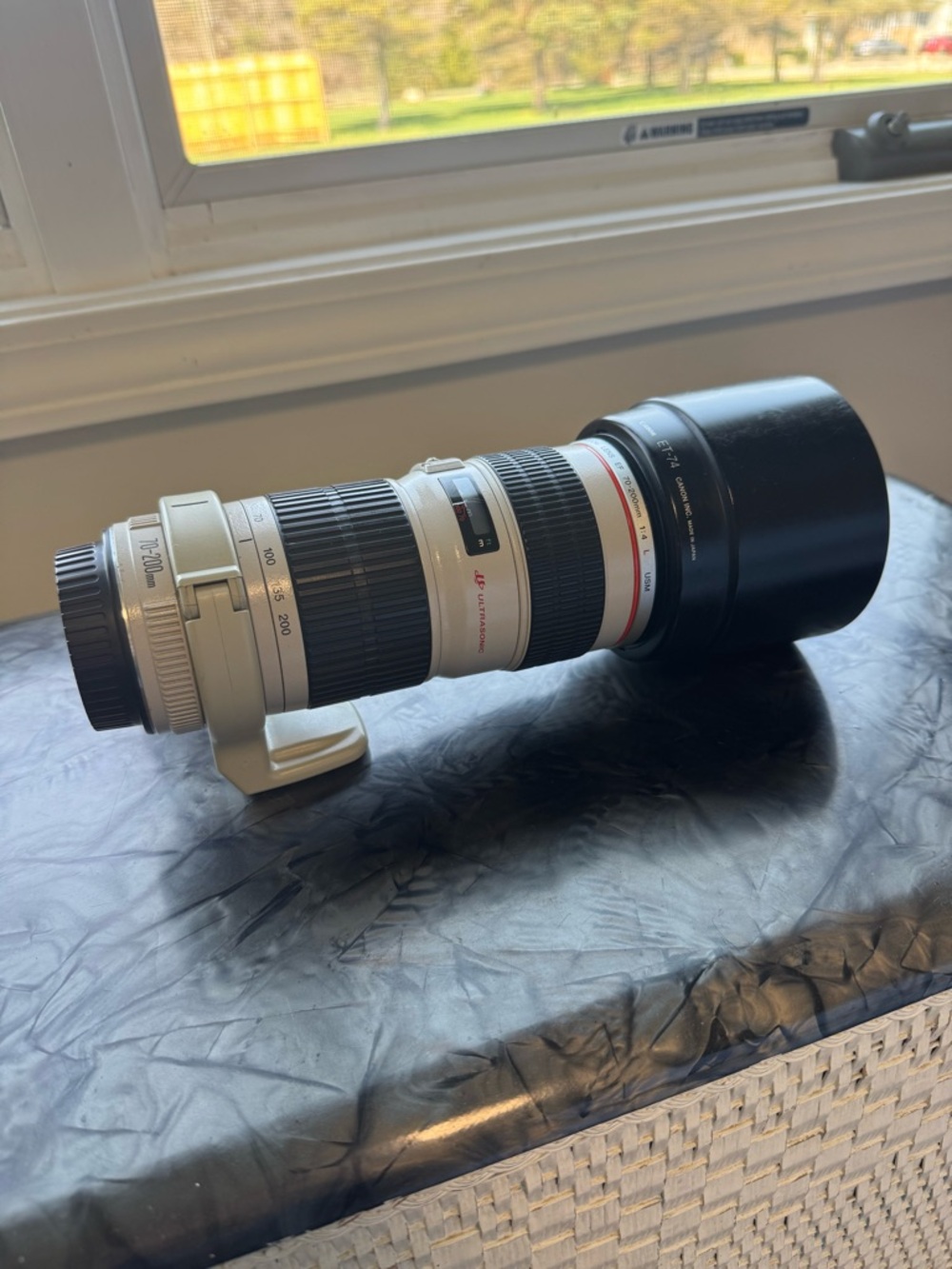 Canon 70-200mm Lens